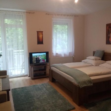 Heviz Lake Apartman Zewnętrze zdjęcie
